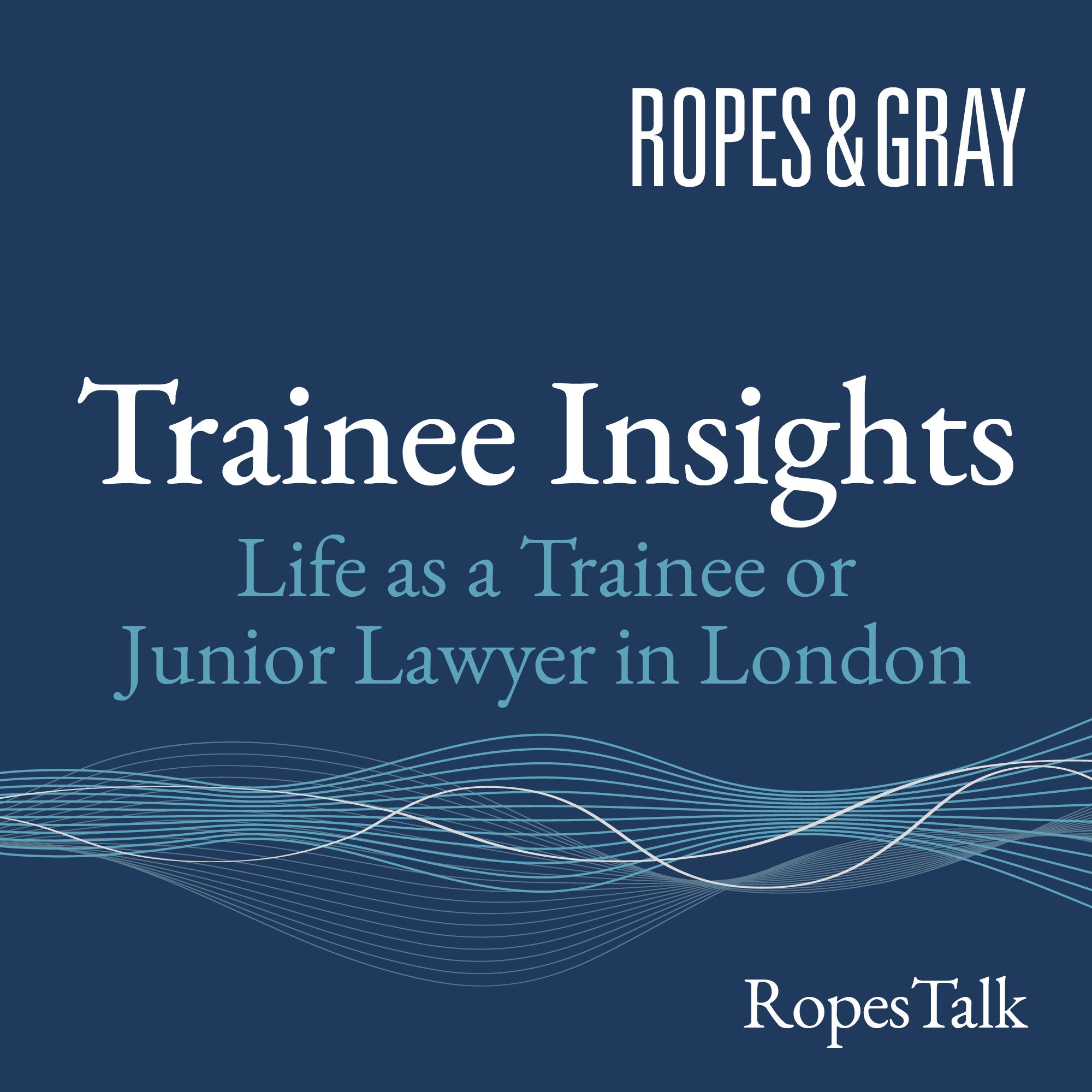 Trainee Insights