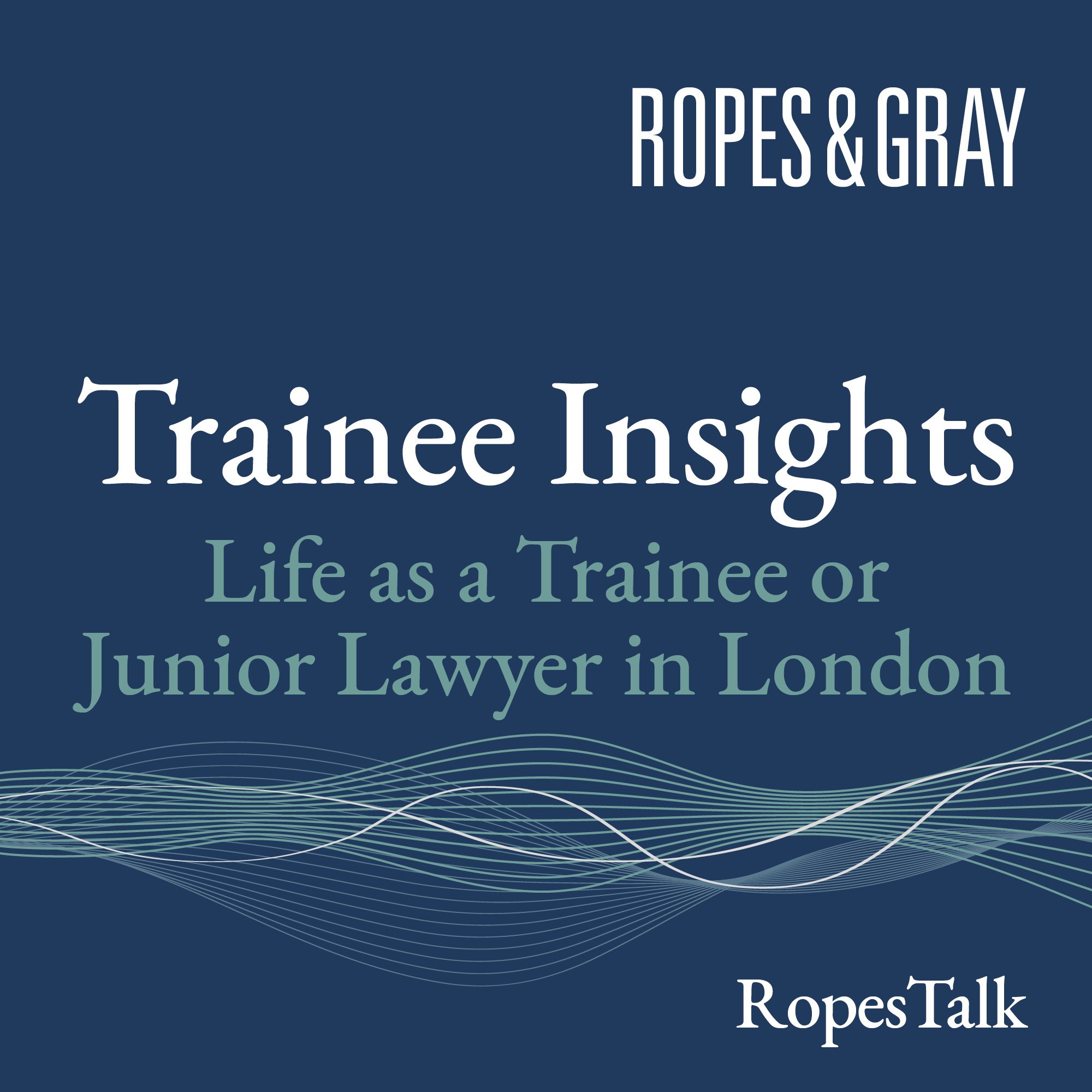 Trainee Insights